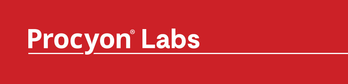 Procyon Labs FLUX.1 demo