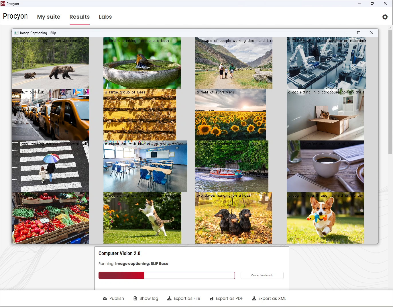 计算机视觉中的图像描述生成